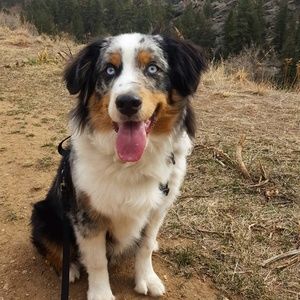 Meet your Posher, Kaitlyn